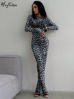 Hugcitar Leopard Print Mesh Long Sleeve Sexy Slim  See Through Maxi Dress Fall Women Fashion Outfits Beach Vacation Club