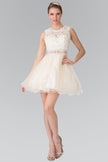 Sleeveless Short Dress with Lace Bodice and Sheer Waistline